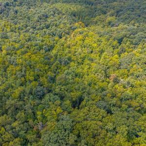 Photo #21 of 0 Atwell Lane, Keysville, VA 39.8 acres