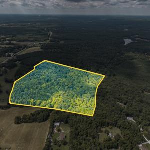 Photo #16 of 0 Atwell Lane, Keysville, VA 39.8 acres