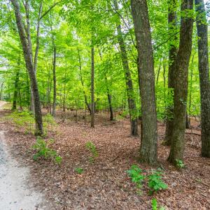 Photo #2 of 0 Atwell Lane, Keysville, VA 39.8 acres