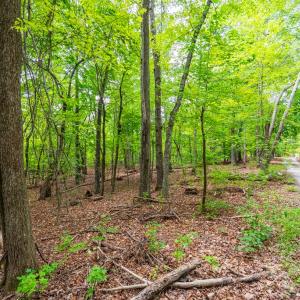 Photo #4 of 0 Atwell Lane, Keysville, VA 39.8 acres