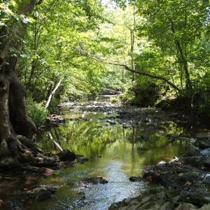Photo #10 of 754 Firetower Road, Lunenburg, VA 129.7 acres