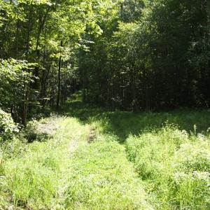 Photo #11 of 754 Firetower Road, Lunenburg, VA 129.7 acres
