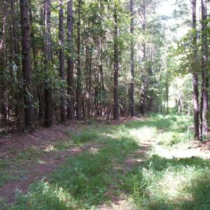 Photo #12 of 754 Firetower Road, Lunenburg, VA 129.7 acres