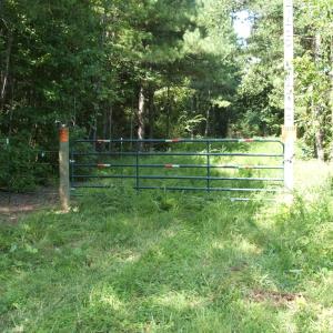 Photo #15 of 754 Firetower Road, Lunenburg, VA 129.7 acres