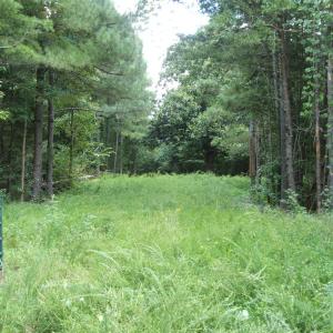 Photo #2 of 754 Firetower Road, Lunenburg, VA 129.7 acres