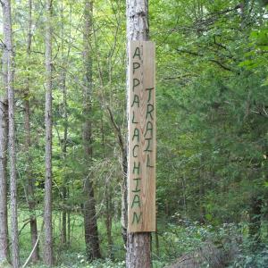 Photo #3 of 754 Firetower Road, Lunenburg, VA 129.7 acres