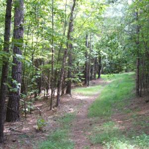 Photo #5 of 754 Firetower Road, Lunenburg, VA 129.7 acres