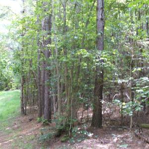 Photo #6 of 754 Firetower Road, Lunenburg, VA 129.7 acres