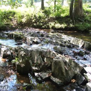 Photo #9 of 754 Firetower Road, Lunenburg, VA 129.7 acres