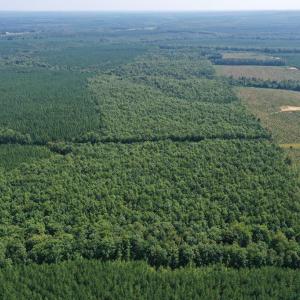 Photo #25 of 60 West James Anderson Hwy, Gladstone, VA 100.0 acres