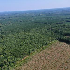 Photo #28 of 60 West James Anderson Hwy, Gladstone, VA 100.0 acres