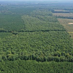 Photo #29 of 60 West James Anderson Hwy, Gladstone, VA 100.0 acres