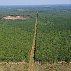 Photo #34 of 60 West James Anderson Hwy, Gladstone, VA 100.0 acres