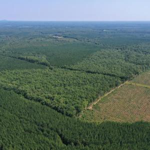 Photo #35 of 60 West James Anderson Hwy, Gladstone, VA 100.0 acres