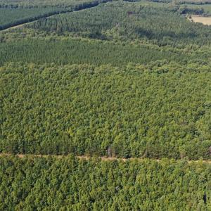 Photo #36 of 60 West James Anderson Hwy, Gladstone, VA 100.0 acres