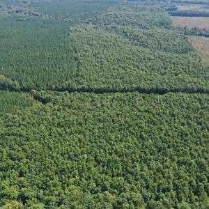 Photo #47 of 60 West James Anderson Hwy, Gladstone, VA 100.0 acres