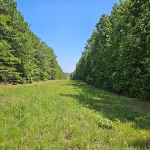 Photo #5 of 60 West James Anderson Hwy, Gladstone, VA 100.0 acres