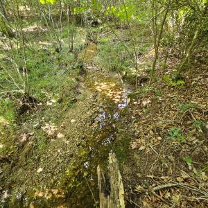 Photo #17 of 60 West James Anderson Hwy, Gladstone, VA 100.0 acres