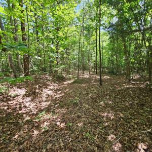 Photo #18 of 60 West James Anderson Hwy, Gladstone, VA 100.0 acres