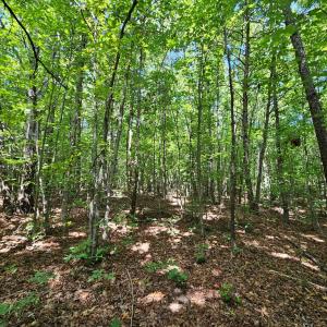 Photo #23 of 60 West James Anderson Hwy, Gladstone, VA 100.0 acres