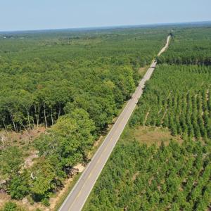 Photo #26 of 60 West James Anderson Hwy, Gladstone, VA 100.0 acres