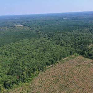 Photo #27 of 60 West James Anderson Hwy, Gladstone, VA 100.0 acres
