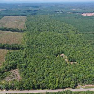 Photo #30 of 60 West James Anderson Hwy, Gladstone, VA 100.0 acres