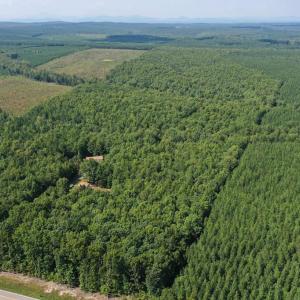 Photo #31 of 60 West James Anderson Hwy, Gladstone, VA 100.0 acres