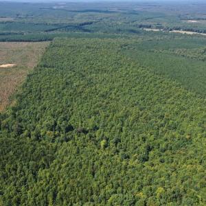 Photo #32 of 60 West James Anderson Hwy, Gladstone, VA 100.0 acres