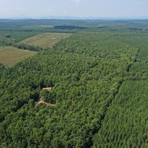 Photo #37 of 60 West James Anderson Hwy, Gladstone, VA 100.0 acres