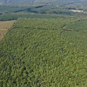 Photo #39 of 60 West James Anderson Hwy, Gladstone, VA 100.0 acres