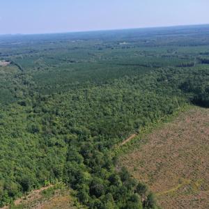 Photo #41 of 60 West James Anderson Hwy, Gladstone, VA 100.0 acres