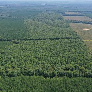 Photo #45 of 60 West James Anderson Hwy, Gladstone, VA 100.0 acres