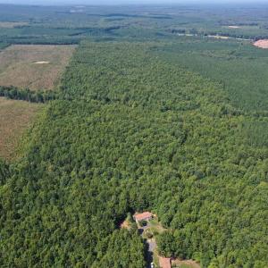 Photo #48 of 60 West James Anderson Hwy, Gladstone, VA 100.0 acres