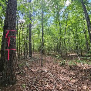 Photo #49 of 60 West James Anderson Hwy, Gladstone, VA 100.0 acres