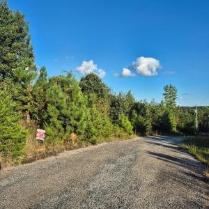 Photo #4 of Fort Drive, Pamplin, VA 3.2 acres