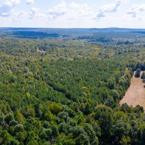 Photo #10 of Copper Mine, Dillwyn, VA 65.0 acres