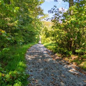 Photo #11 of Copper Mine, Dillwyn, VA 65.0 acres