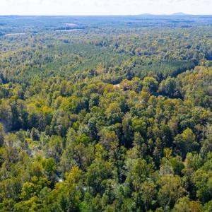 Photo #12 of Copper Mine, Dillwyn, VA 65.0 acres