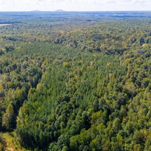 Photo #13 of Copper Mine, Dillwyn, VA 65.0 acres