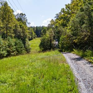 Photo #2 of Copper Mine, Dillwyn, VA 65.0 acres