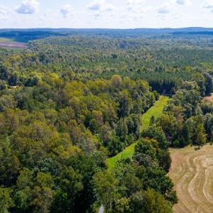 Photo #8 of Copper Mine, Dillwyn, VA 65.0 acres