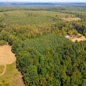 Photo #9 of Copper Mine, Dillwyn, VA 65.0 acres