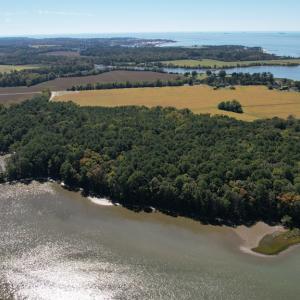 Photo #5 of HUNTINGTON LANE, CAPE CHARLES, VA 39.1 acres