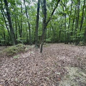 Photo #12 of 362 Cabin Lane, Gladstone, VA 12.2 acres