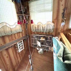 Photo #11 of 362 Cabin Lane, Gladstone, VA 12.2 acres