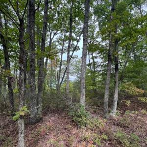Photo #13 of 362 Cabin Lane, Gladstone, VA 12.2 acres