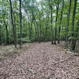 Photo #14 of 362 Cabin Lane, Gladstone, VA 12.2 acres