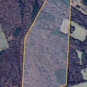 Photo #2 of Thomas Jefferson HWY, Charlotte Court House, VA 61.2 acres