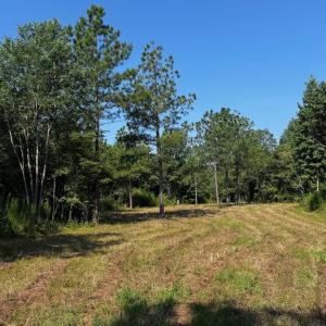 Photo #12 of 608 Old Shore RD, Blackstone, VA 23.2 acres